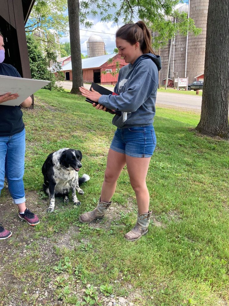 Live Feed Cassadaga Valley Central School District